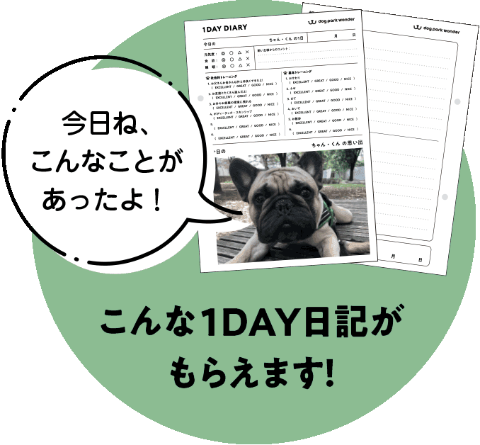 1DAY日記