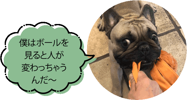 お勉強の時間